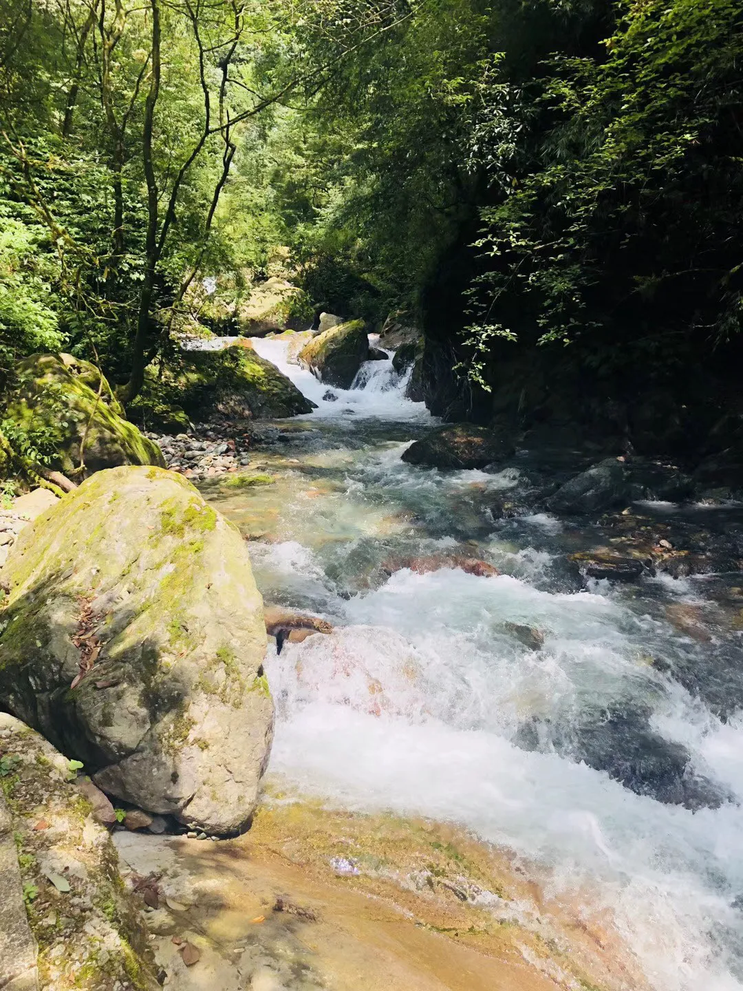 救援深海动物